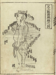 Acupuncture